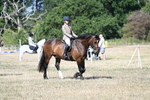 WJ7_3357