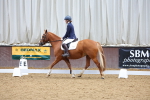 SBM_001248