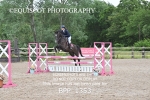 BPP_1353