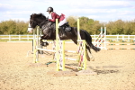 SBM_003536