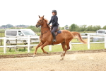 SBM_007927