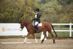 SBM_001390