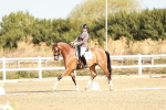 SBM_008611