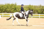 SBM_007964