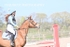 BPP_1679