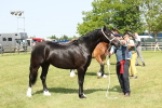 SBM_02348