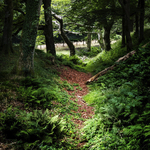 New Landscapes portfolio