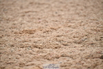 260829B-122551-00785