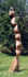 La Biche de Samer