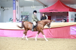 SBM_02975