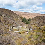 Dartmoor portfolio