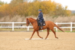SBM_001814