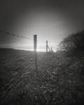 Fence, Otley Chevin