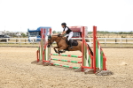 SBM_001331
