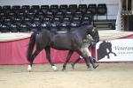 SBM_05034