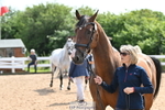 240717A-155800-03221_Trot Up 3pm to 4pm
