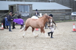 SBM_007273