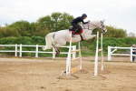 SBM_002785