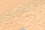 231122A-121828-00327