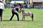 SBM_03606