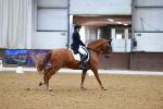 SBM_001279