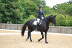 Class 5: Novice 1 2024 Section A portfolio