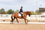 SBM_02640