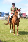 Class 99 - RIHS SEIB Working Show Horse portfolio