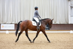 SBM_000787