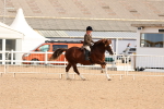 SBM_16989