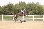 SBM_001834