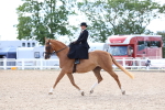 SBM_17223
