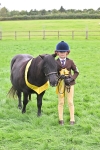 S41 - Junior Handler 8 Years & Under portfolio