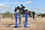 CLASS 11 SAT Andrew Hamilton Coach, RHS Foxhunter Championship Qualifier portfolio