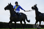 South Dorset Hunt - Point-to-Point Races 30/01/2022 portfolio