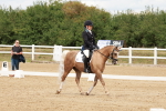 SBM_001539