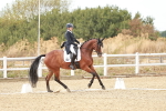 SBM_007291