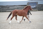 SBM_003961
