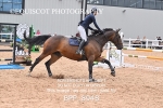 BPP_8948