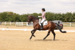 SBM_001297