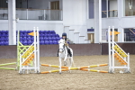 SBM_002949