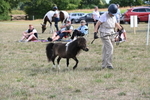 WJ6_7006