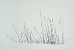 Thursday 5th Feb 2009