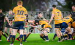 Guernsey Raiders v Henley 2023-97