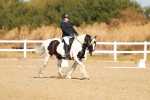 SBM_016756
