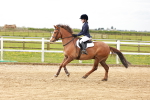 SBM_003779