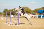 SBM_007871