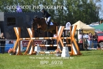 BPP_6978