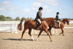 SBM_22904