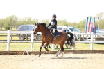 SBM_000880
